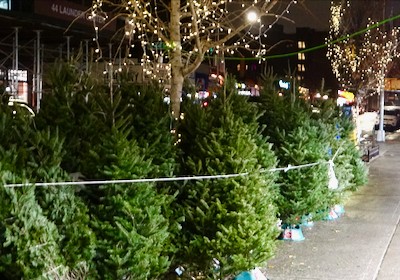 things to do nyc manhattan brooklyn queens bronx staten island nyc events