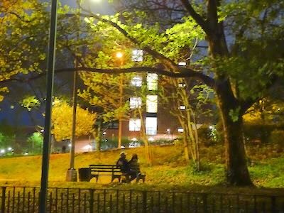 things to do nyc manhattan brooklyn queens bronx staten island nyc events