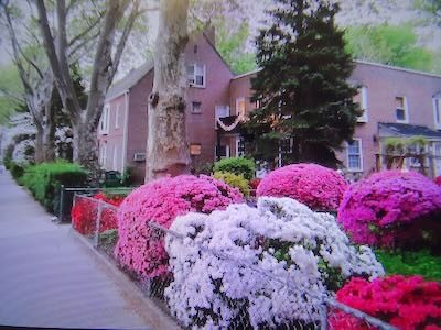 things to do nyc manhattan brooklyn queens bronx staten island nyc events