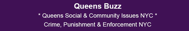queens social community issues crime punishment enforcement prevention nypd nyc nys govt qns nyc 